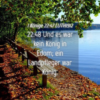 Picture 04 - 1 Könige 22:47 LUTH1912 - 22:48 Und es war kein König in Edom; ein - Bible Verse Picture