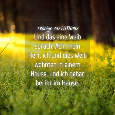Picture 04 - 1 Könige 3:17 LUTH1912 - Und das eine Weib sprach: Ach, mein Herr, ich und - Bible Verse Picture