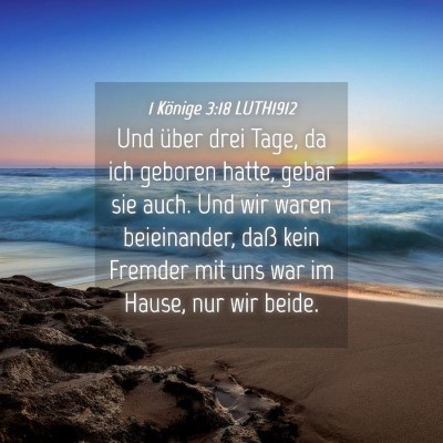 Picture 04 - 1 Könige 3:18 LUTH1912 - Und über drei Tage, da ich geboren hatte, gebar - Bible Verse Picture
