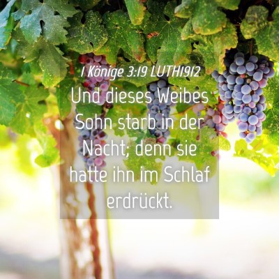 Picture 04 - 1 Könige 3:19 LUTH1912 - Und dieses Weibes Sohn starb in der Nacht; denn - Bible Verse Picture