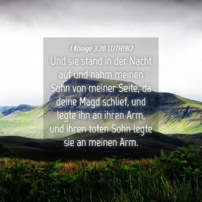 Picture 04 - 1 Könige 3:20 LUTH1912 - Und sie stand in der Nacht auf und nahm meinen - Bible Verse Picture