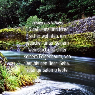 Picture 04 - 1 Könige 4:25 LUTH1912 - 5:5 daß Juda und Israel sicher wohnten, ein - Bible Verse Picture