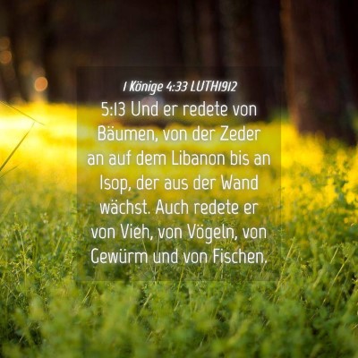 Picture 04 - 1 Könige 4:33 LUTH1912 - 5:13 Und er redete von Bäumen, von der Zeder an - Bible Verse Picture
