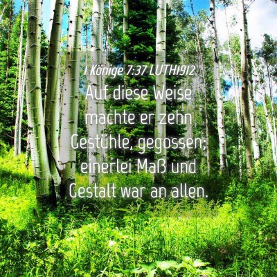 Picture 04 - 1 Könige 7:37 LUTH1912 - Auf diese Weise machte er zehn Gestühle, - Bible Verse Picture
