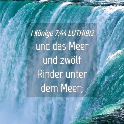 Picture 04 - 1 Könige 7:44 LUTH1912 - und das Meer und zwölf Rinder unter dem - Bible Verse Picture