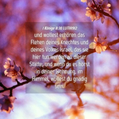 Picture 04 - 1 Könige 8:30 LUTH1912 - und wollest erhören das Flehen deines Knechtes - Bible Verse Picture