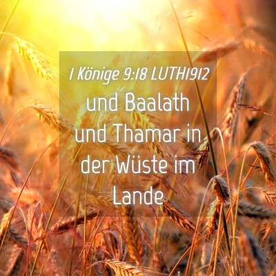 Picture 04 - 1 Könige 9:18 LUTH1912 - und Baalath und Thamar in der Wüste im - Bible Verse Picture