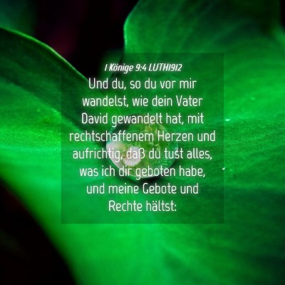 Picture 04 - 1 Könige 9:4 LUTH1912 - Und du, so du vor mir wandelst, wie dein Vater - Bible Verse Picture