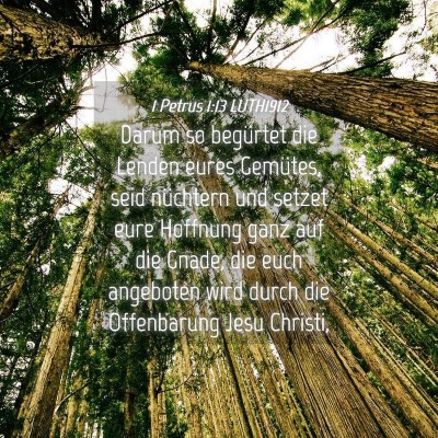Picture 04 - 1 Petrus 1:13 LUTH1912 - Darum so begürtet die Lenden eures Gemütes, - Bible Verse Picture