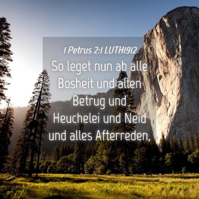 Picture 04 - 1 Petrus 2:1 LUTH1912 - So leget nun ab alle Bosheit und allen Betrug und - Bible Verse Picture