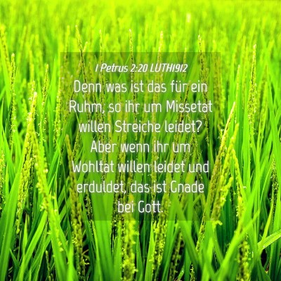 Picture 04 - 1 Petrus 2:20 LUTH1912 - Denn was ist das für ein Ruhm, so ihr um - Bible Verse Picture