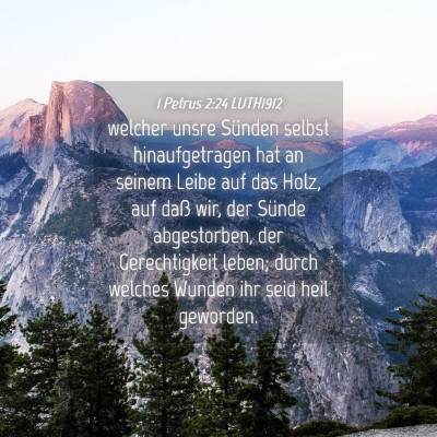Picture 04 - 1 Petrus 2:24 LUTH1912 - welcher unsre Sünden selbst hinaufgetragen hat - Bible Verse Picture
