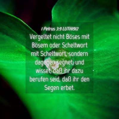 Picture 04 - 1 Petrus 3:9 LUTH1912 - Vergeltet nicht Böses mit Bösem oder Scheltwort - Bible Verse Picture