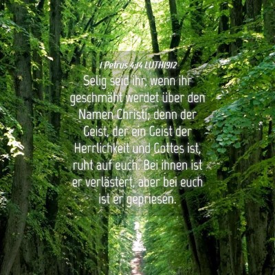 Picture 04 - 1 Petrus 4:14 LUTH1912 - Selig seid ihr, wenn ihr geschmäht werdet über - Bible Verse Picture