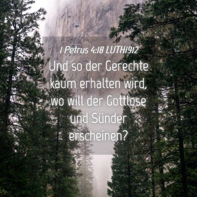 Picture 04 - 1 Petrus 4:18 LUTH1912 - Und so der Gerechte kaum erhalten wird, wo will - Bible Verse Picture