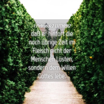Picture 04 - 1 Petrus 4:2 LUTH1912 - daß er hinfort die noch übrige Zeit im Fleisch - Bible Verse Picture