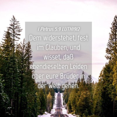 Picture 04 - 1 Petrus 5:9 LUTH1912 - Dem widerstehet, fest im Glauben, und wisset, - Bible Verse Picture