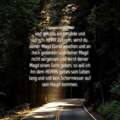 Picture 04 - 1 Samuel 1:11 LUTH1912 - und gelobte ein Gelübde und sprach: HERR - Bible Verse Picture
