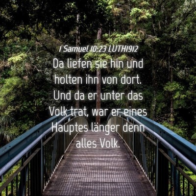 Picture 04 - 1 Samuel 10:23 LUTH1912 - Da liefen sie hin und holten ihn von dort. Und da - Bible Verse Picture