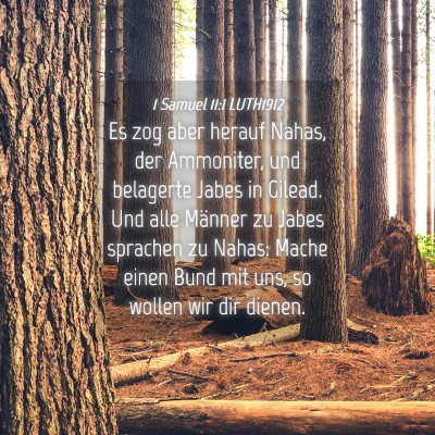 Picture 04 - 1 Samuel 11:1 LUTH1912 - Es zog aber herauf Nahas, der Ammoniter, und - Bible Verse Picture