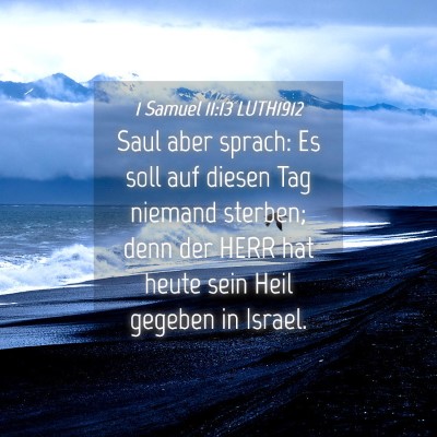 Picture 04 - 1 Samuel 11:13 LUTH1912 - Saul aber sprach: Es soll auf diesen Tag niemand - Bible Verse Picture