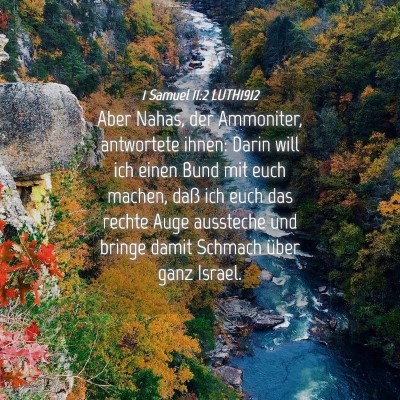 Picture 04 - 1 Samuel 11:2 LUTH1912 - Aber Nahas, der Ammoniter, antwortete ihnen: - Bible Verse Picture