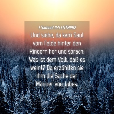 Picture 04 - 1 Samuel 11:5 LUTH1912 - Und siehe, da kam Saul vom Felde hinter den - Bible Verse Picture