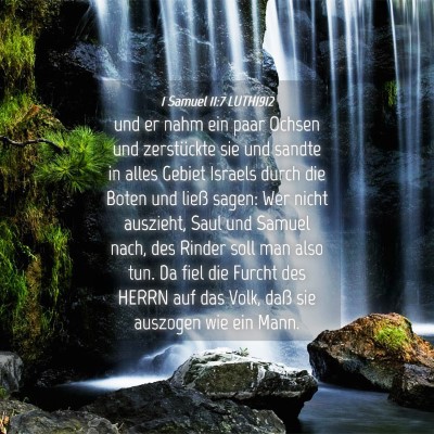 Picture 04 - 1 Samuel 11:7 LUTH1912 - und er nahm ein paar Ochsen und zerstückte sie - Bible Verse Picture