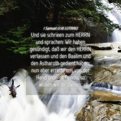 Picture 04 - 1 Samuel 12:10 LUTH1912 - Und sie schrieen zum HERRN und sprachen: Wir - Bible Verse Picture