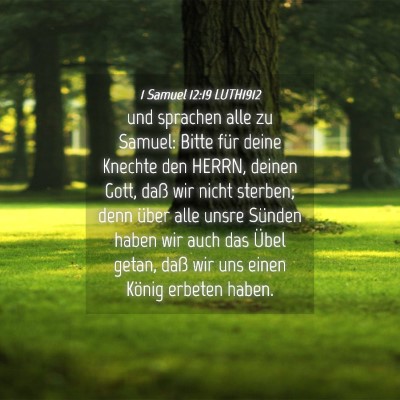 Picture 04 - 1 Samuel 12:19 LUTH1912 - und sprachen alle zu Samuel: Bitte für deine - Bible Verse Picture