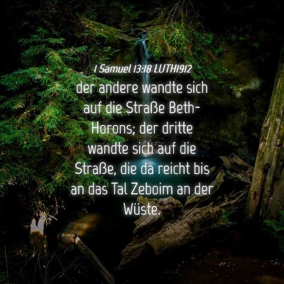Picture 04 - 1 Samuel 13:18 LUTH1912 - der andere wandte sich auf die Straße - Bible Verse Picture