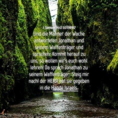 Picture 04 - 1 Samuel 14:12 LUTH1912 - Und die Männer der Wache antworteten Jonathan - Bible Verse Picture