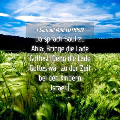 Picture 04 - 1 Samuel 14:18 LUTH1912 - Da sprach Saul zu Ahia: Bringe die Lade Gottes! - Bible Verse Picture