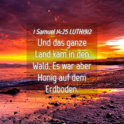 Picture 04 - 1 Samuel 14:25 LUTH1912 - Und das ganze Land kam in den Wald. Es war aber - Bible Verse Picture
