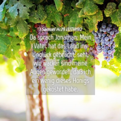Picture 04 - 1 Samuel 14:29 LUTH1912 - Da sprach Jonathan: Mein Vater hat das Land ins - Bible Verse Picture