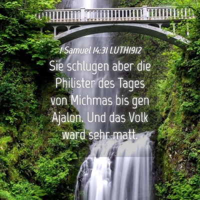 Picture 04 - 1 Samuel 14:31 LUTH1912 - Sie schlugen aber die Philister des Tages von - Bible Verse Picture