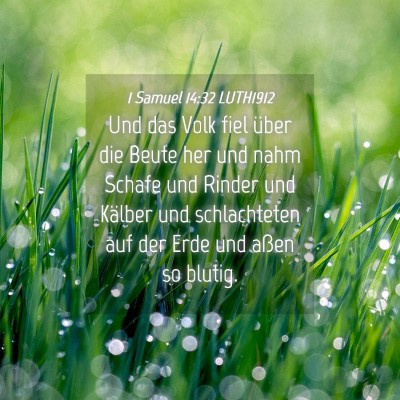 Picture 04 - 1 Samuel 14:32 LUTH1912 - Und das Volk fiel über die Beute her und nahm - Bible Verse Picture