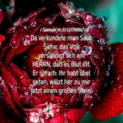 Picture 04 - 1 Samuel 14:33 LUTH1912 - Da verkündete man Saul: Siehe, das Volk - Bible Verse Picture
