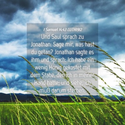 Picture 04 - 1 Samuel 14:43 LUTH1912 - Und Saul sprach zu Jonathan: Sage mir, was hast - Bible Verse Picture