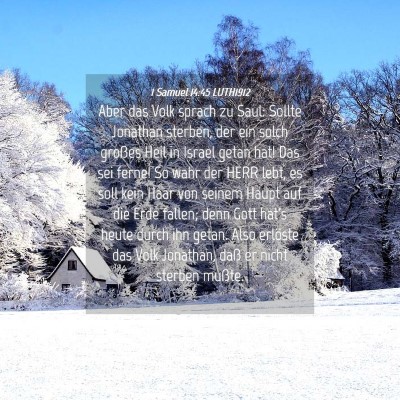 Picture 04 - 1 Samuel 14:45 LUTH1912 - Aber das Volk sprach zu Saul: Sollte Jonathan - Bible Verse Picture