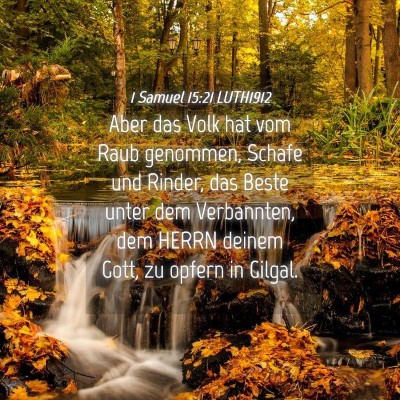 Picture 04 - 1 Samuel 15:21 LUTH1912 - Aber das Volk hat vom Raub genommen, Schafe und - Bible Verse Picture