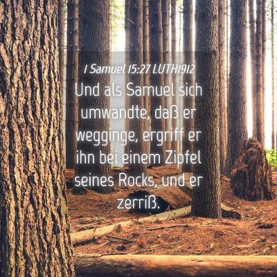 Picture 04 - 1 Samuel 15:27 LUTH1912 - Und als Samuel sich umwandte, daß er wegginge, - Bible Verse Picture