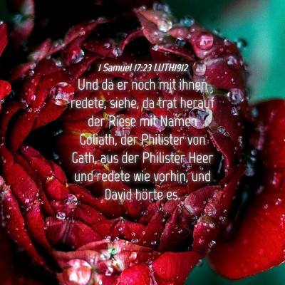 Picture 04 - 1 Samuel 17:23 LUTH1912 - Und da er noch mit ihnen redete, siehe, da trat - Bible Verse Picture