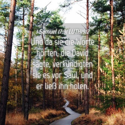 Picture 04 - 1 Samuel 17:31 LUTH1912 - Und da sie die Worte hörten, die David sagte, - Bible Verse Picture