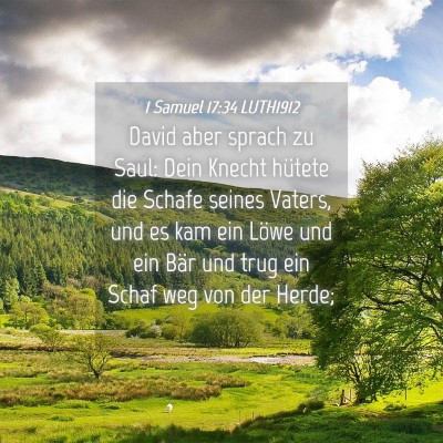 Picture 04 - 1 Samuel 17:34 LUTH1912 - David aber sprach zu Saul: Dein Knecht hütete - Bible Verse Picture