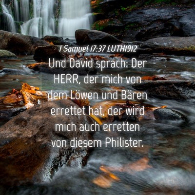 Picture 04 - 1 Samuel 17:37 LUTH1912 - Und David sprach: Der HERR, der mich von dem - Bible Verse Picture