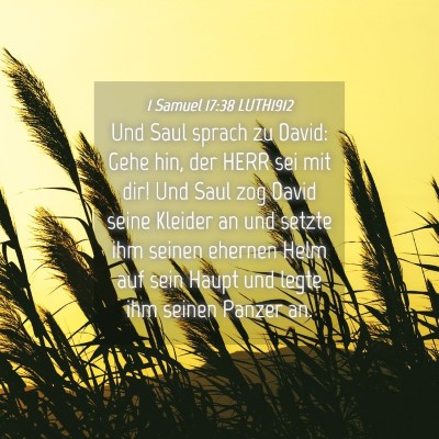 Picture 04 - 1 Samuel 17:38 LUTH1912 - Und Saul sprach zu David: Gehe hin, der HERR sei - Bible Verse Picture