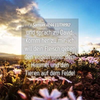 Picture 04 - 1 Samuel 17:44 LUTH1912 - und sprach zu David: Komm her zu mir, ich will - Bible Verse Picture