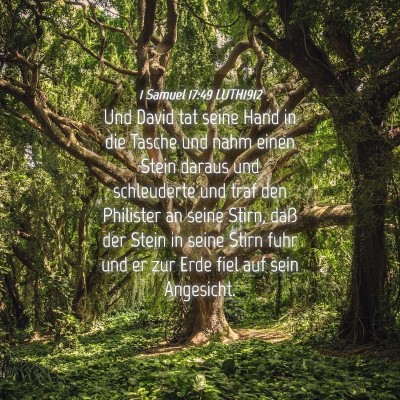 Picture 04 - 1 Samuel 17:49 LUTH1912 - Und David tat seine Hand in die Tasche und nahm - Bible Verse Picture