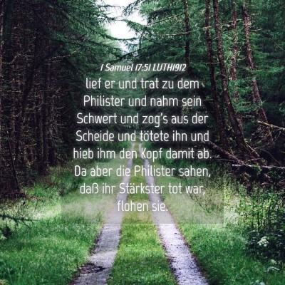 Picture 04 - 1 Samuel 17:51 LUTH1912 - lief er und trat zu dem Philister und nahm sein - Bible Verse Picture